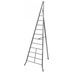 vendita online Scala agricola 11 gradini 4 m. modello agri Scale per l'agricoltura Facal